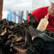 Image for article titled The La Brea Tar Pits Remind Us That Los Angeles is an Ancient City